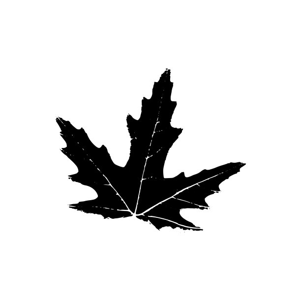 树叶剪影植物与自然单一图片下载