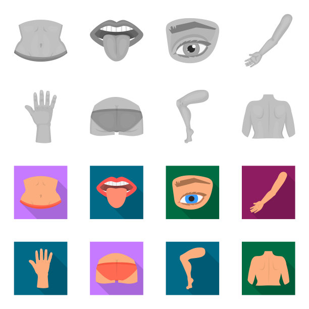 身体和部分标志集图片下载