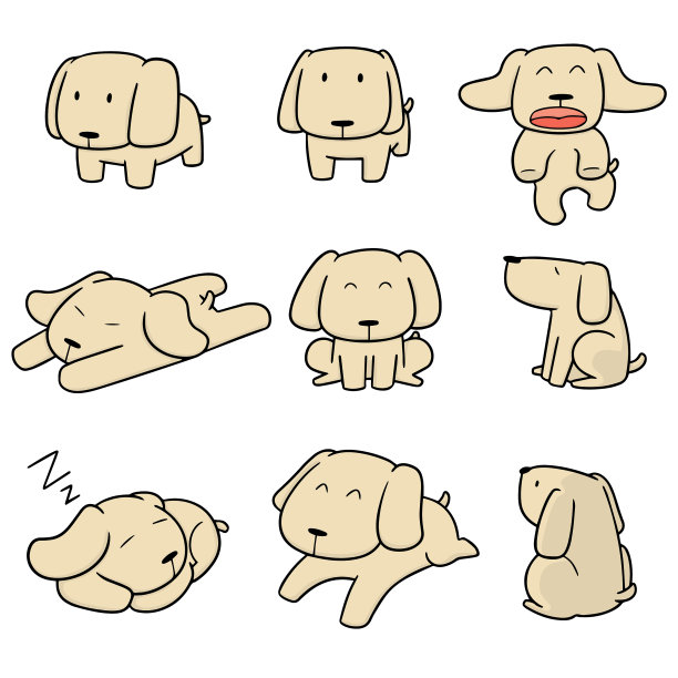 一组拉布拉多猎犬图片下载