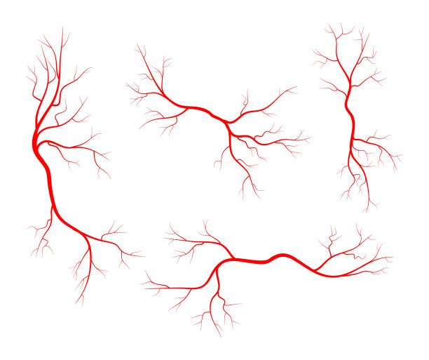 人体血管套符号图标设计图片下载