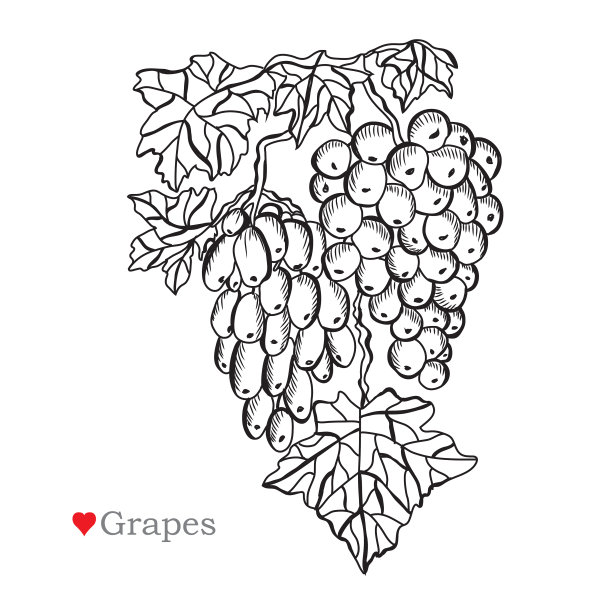 手绘水果装饰图片下载