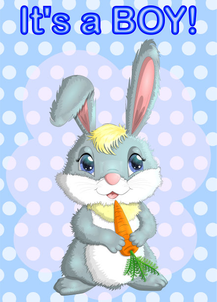 宝宝送礼会贺卡与可爱的兔子男孩图片下载