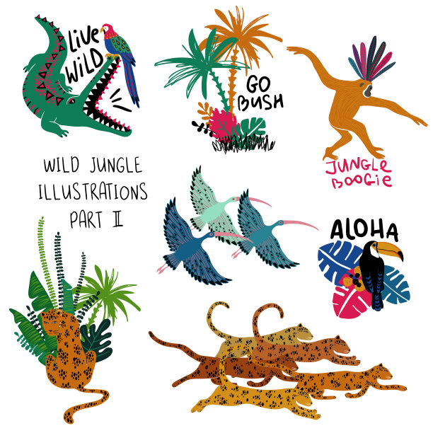 夏天到处都是动物、鸟类和植物图片下载