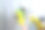 手拿黄色橡胶手套清洁浴室的圆形化妆镜。无法分辨的照片。清洁和清洁的概念。图片下载