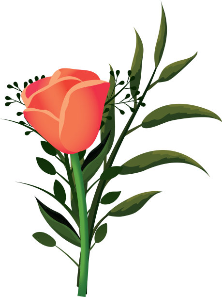 热带花卉卡通图片下载