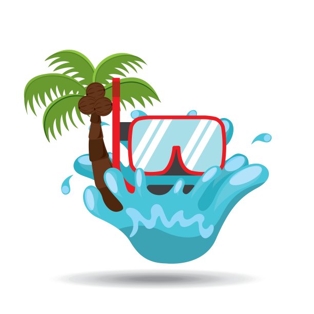 浮潜水泼棕榈暑假图片下载