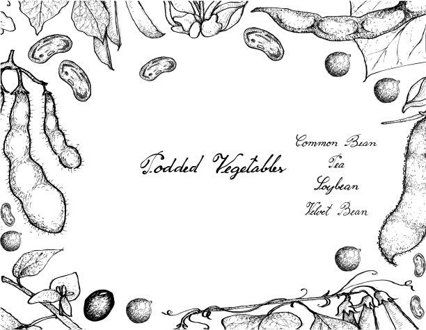 手画荚式蔬菜架图片下载