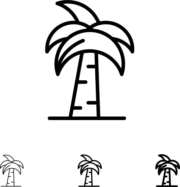 全球文化，印度，印度棕榈树，斯里兰卡图片下载