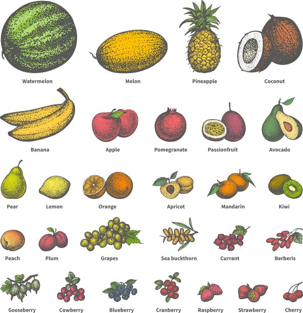 大套不同颜色多汁的成熟水果图片下载