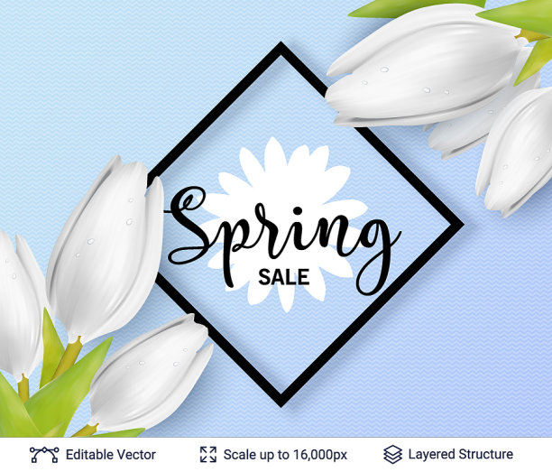 春季白色郁金香和销售文字图片下载