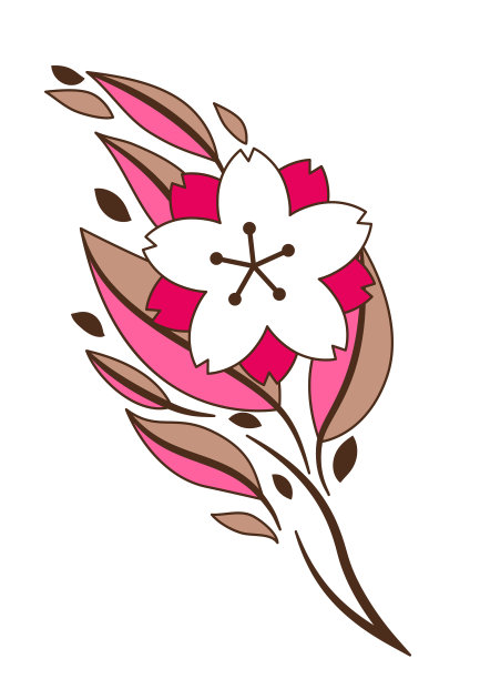 樱花或樱花的小枝图片下载