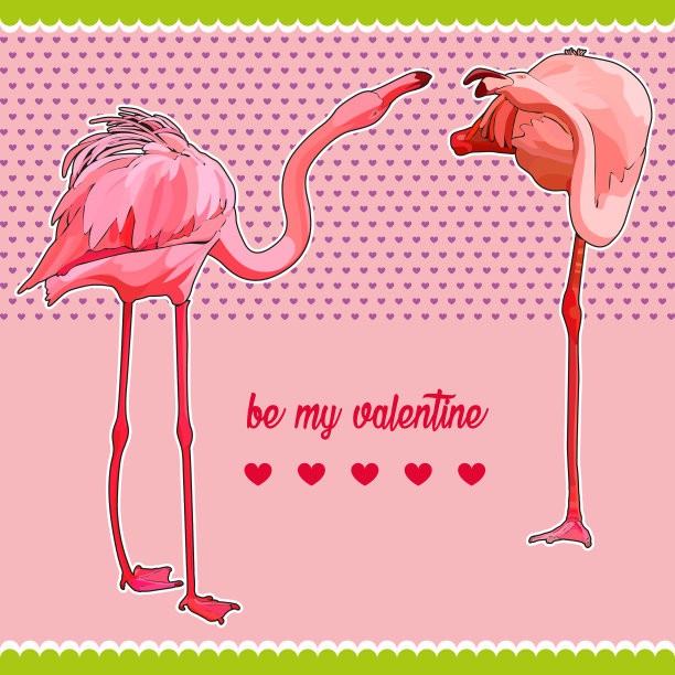 情人节与火烈鸟的明信片图片下载