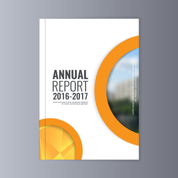 年度报告图片下载