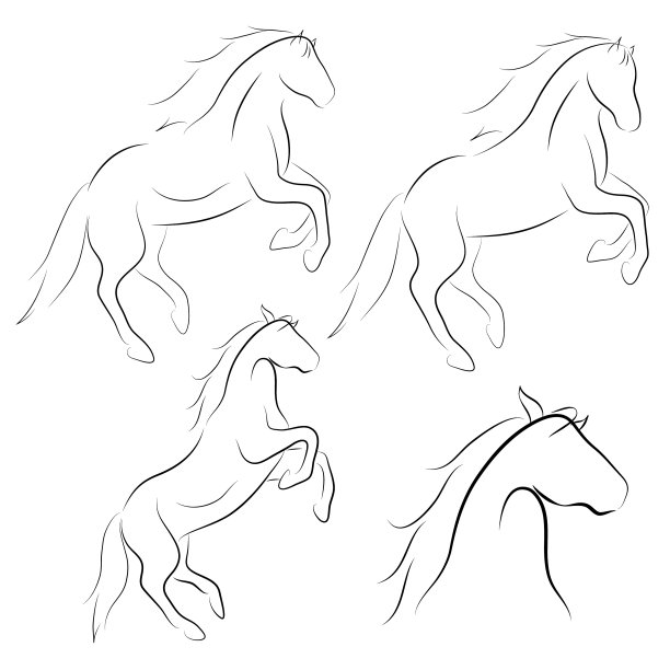 黑线马在白色背景图标设置图片下载