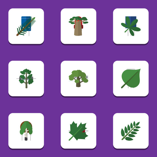 扁平图标生物设置的橡树猴面包树金合欢叶图片下载