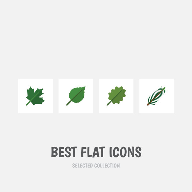 平坦的图标自然设置桤木云杉叶图片下载