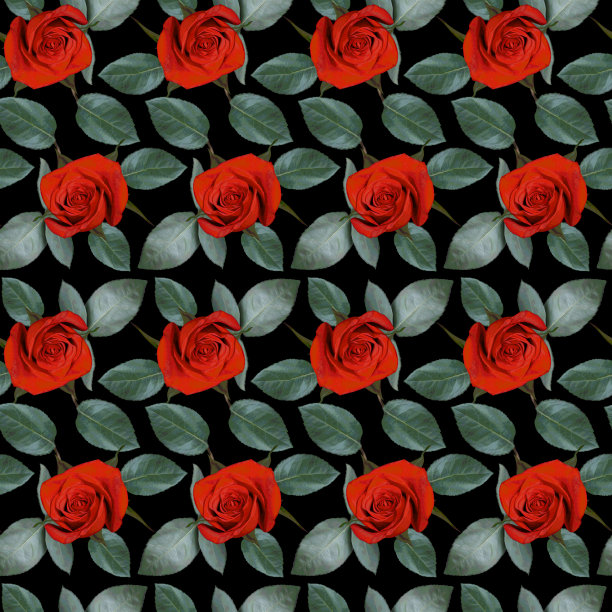 无缝图案与红玫瑰花和绿色的叶子在黑色的背景。五彩缤纷的花卉纹理。光栅插图。图片下载