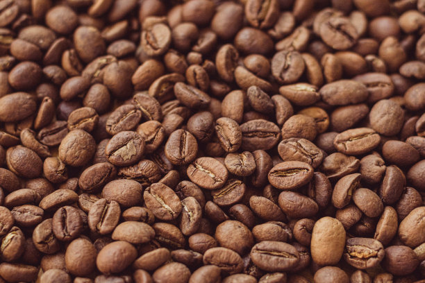 咖啡豆素材图片