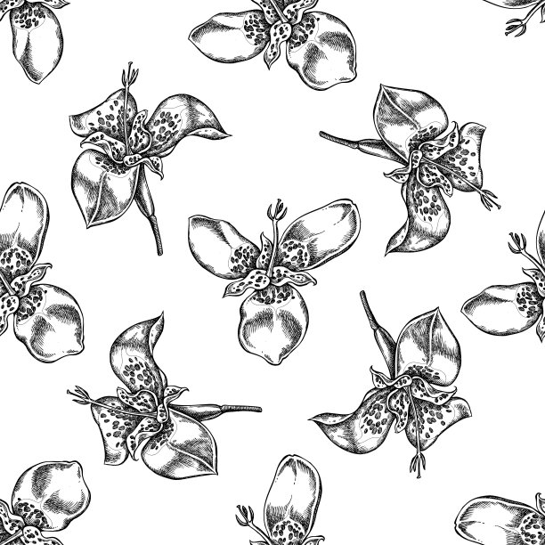 无缝模式与黑白底纹图片下载