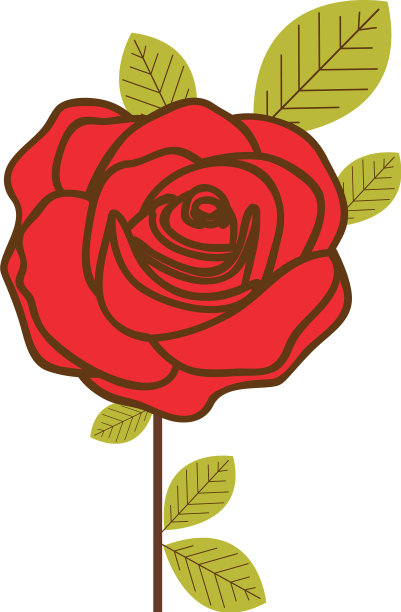 五颜六色的红玫瑰有叶和茎图片下载