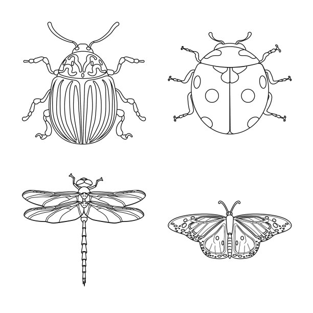 昆虫和苍蝇标志集图片下载