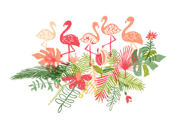 让我们火焰手画奇异的植物和鸟图片下载