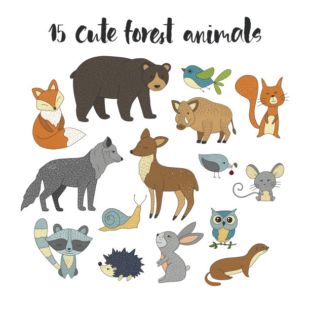 大set with手绘森林动物图片下载