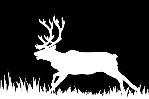 草地上鹿的剪影图片下载