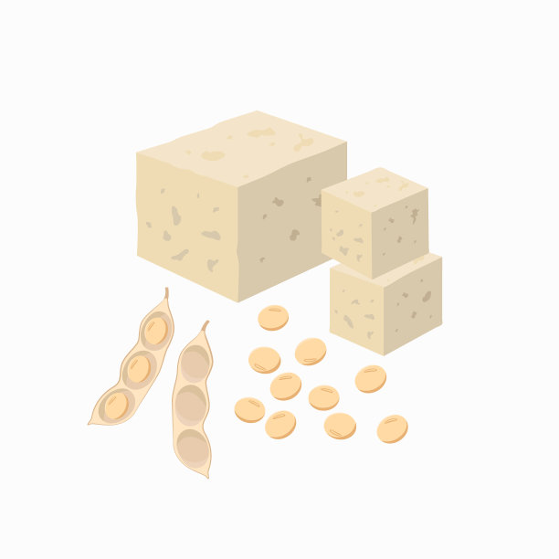 豆腐和豆荚用大豆种子分离上图片下载