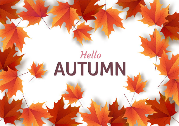 秋天的树叶鲜艳多彩，秋天的橡树叶图片下载