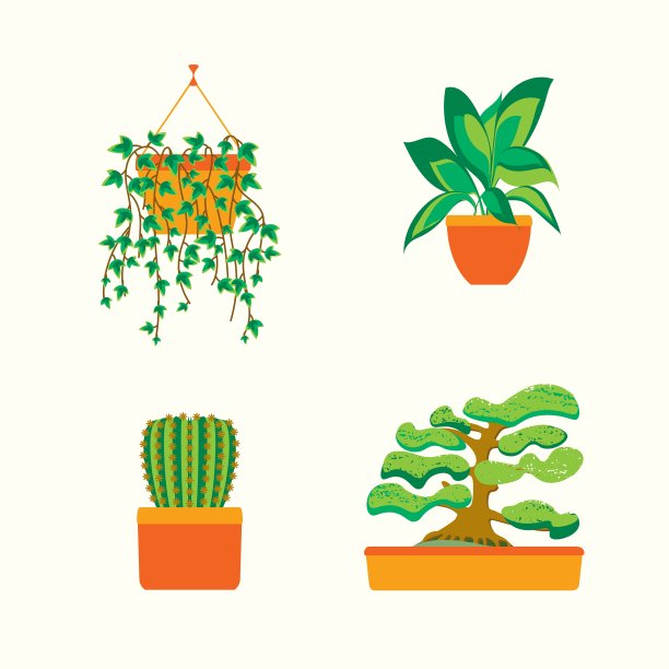 绿色植物的家庭或办公室图片下载