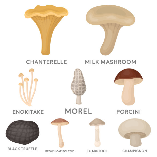 蘑菇设置图标在卡通风格大图片下载