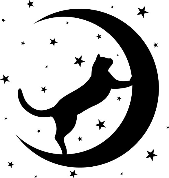 月亮黑猫图片下载