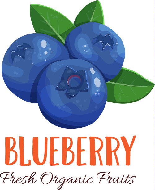 蓝莓图片下载