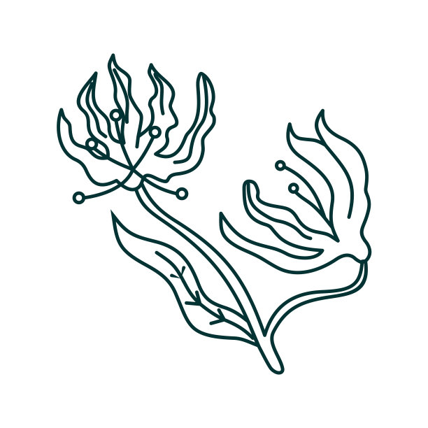 花叶设计模板图片下载