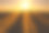 夕阳的阳光图片下载