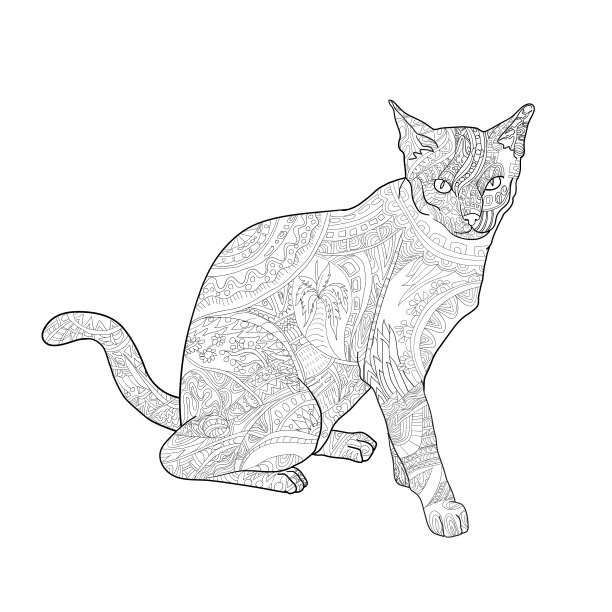 猫的线条艺术，在白色的背景上色图片下载