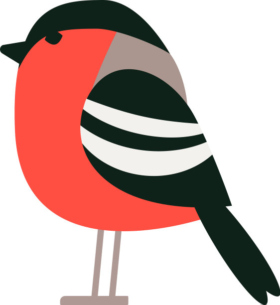 红腹灰雀平图片下载