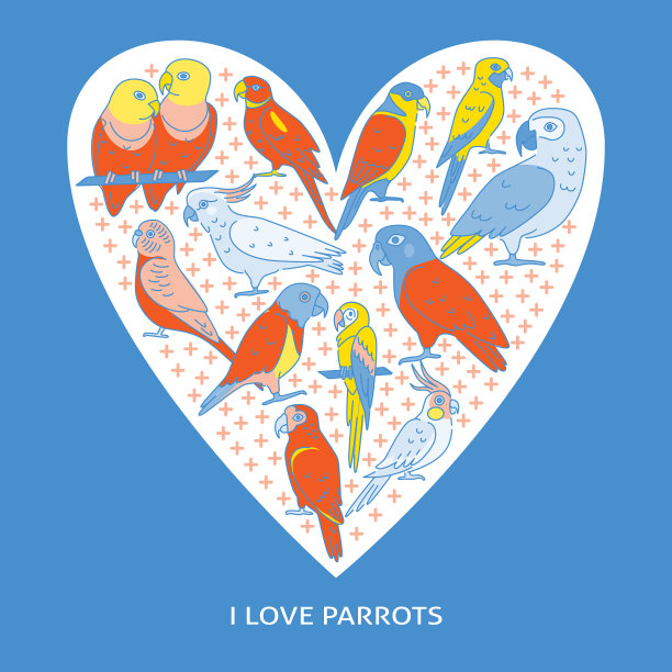 热带鸟类概念旗帜在线条风格图片下载