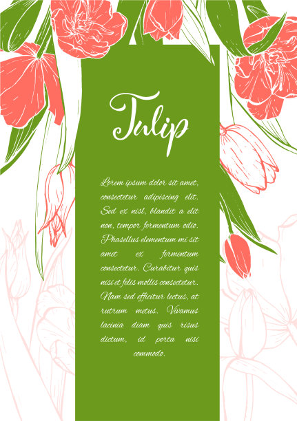 素描线性郁金香花图片下载