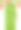 素描线性郁金香花图片下载