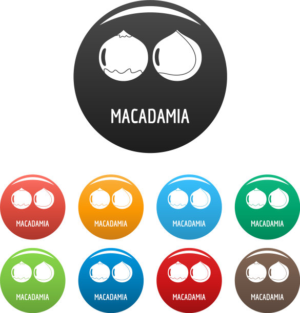 澳洲坚果图标设置颜色图片下载