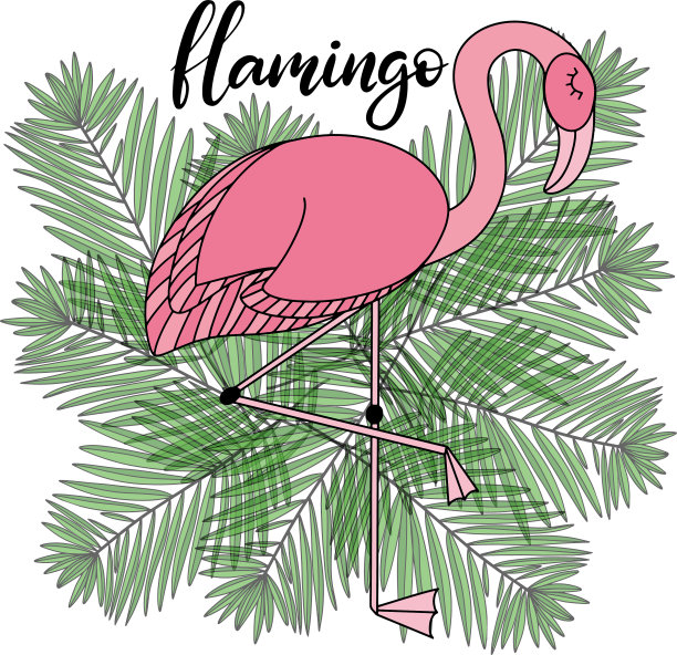 火烈鸟热带叶子字母图片下载