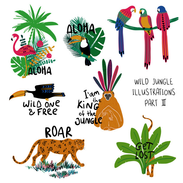 夏天到处都是动物、鸟类和植物图片下载