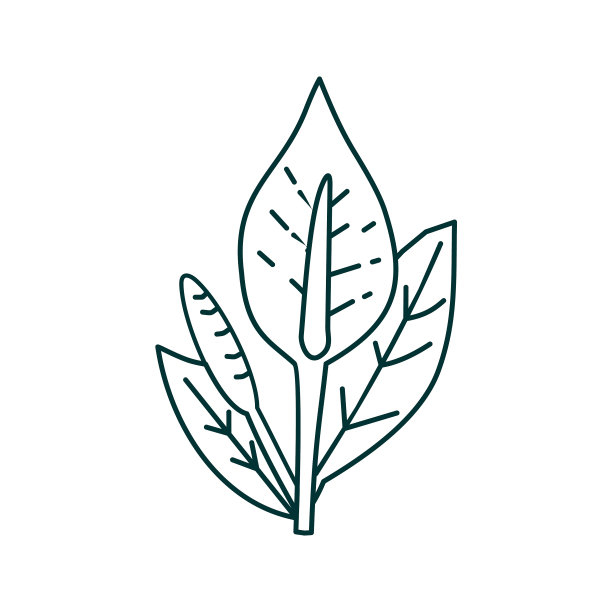 花叶设计模板图片下载