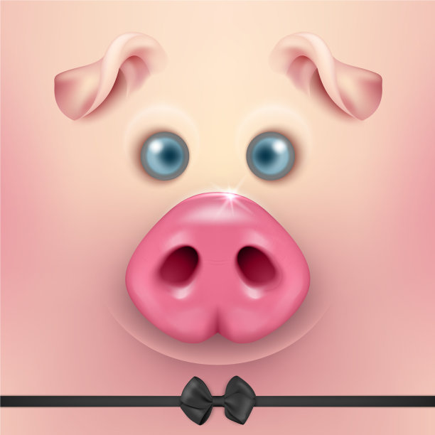 背景与3d滑稽卡通猪脸图片下载