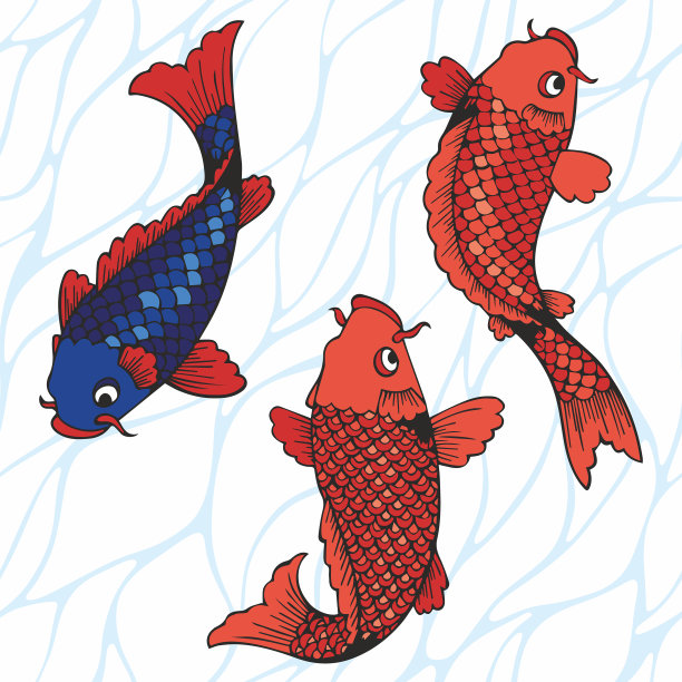 锦鲤手绘图片下载