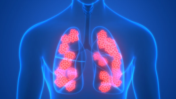 人体呼吸系统肺与肺泡解剖图片下载