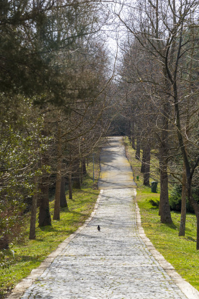长时间行走路径图片下载