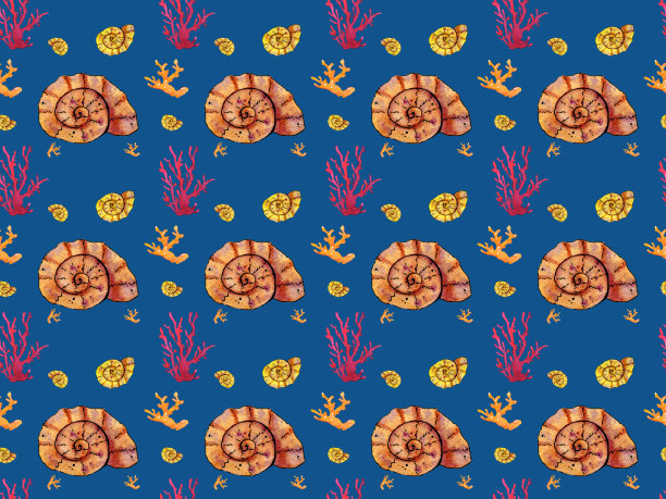 无缝模式。手绘水彩贝壳和珊瑚在白色的背景。图片下载